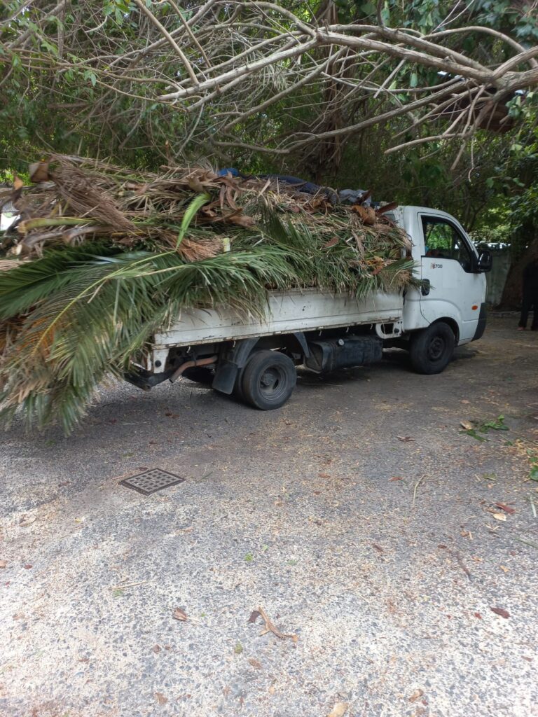 rubble removal camps bay