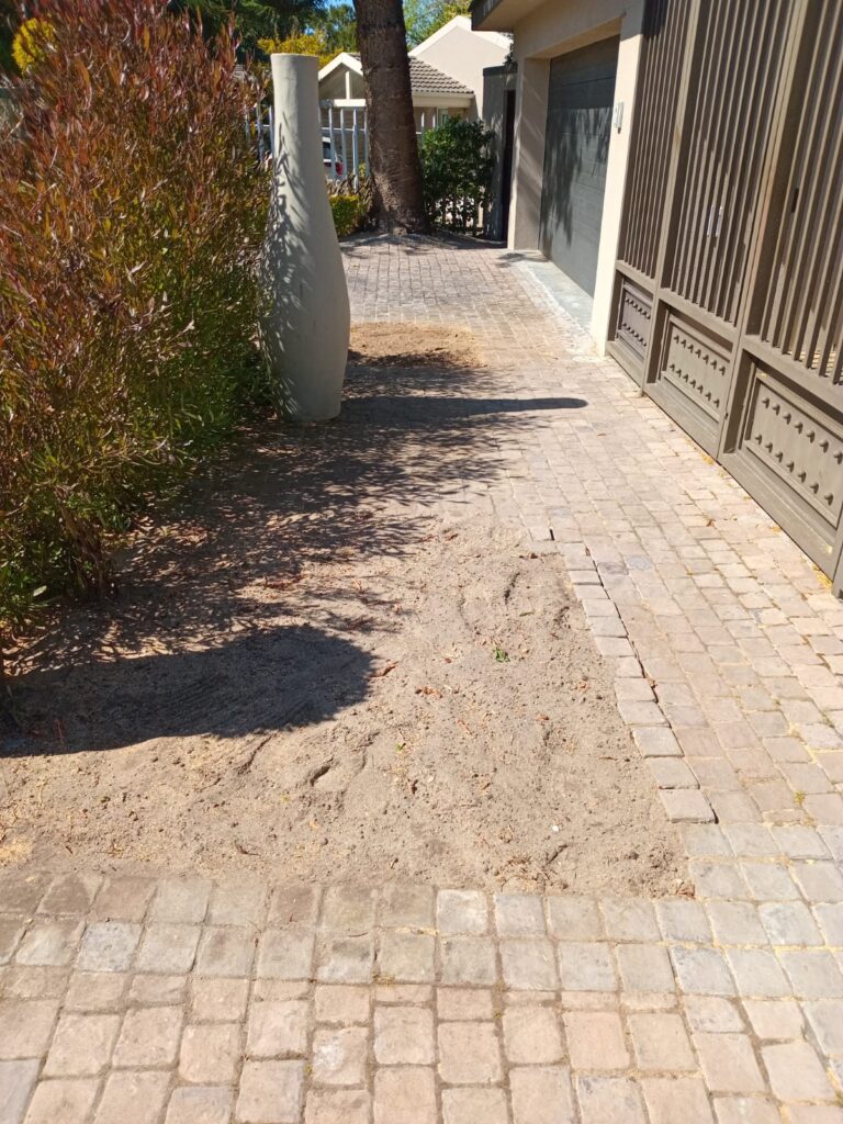 land and site clearing hout bay
