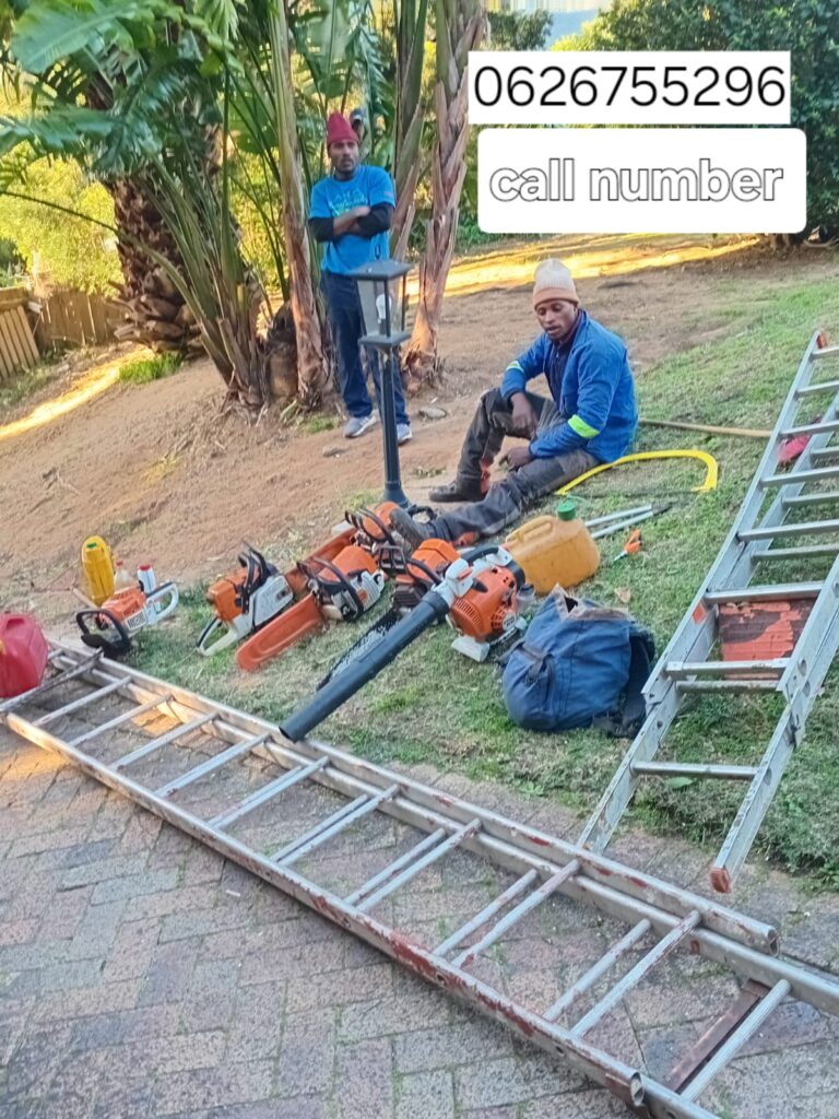 land and site clearing hout bay